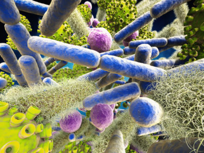 Das Mikrobiom ist buchstäblich in aller Munde. Die Symbiose des Menschen mit seinen mikrobiellen Partnern ist uralt, wahrscheinlich auch Überlebens-notwendig und sollte nicht gering geachtet werden: Normalerweise denken wir beim "Mikrobiom" hauptsächlich an die Darmkeime, die uns maßgeblich bei der Verdauung und Vitaminversorgung helfen. Das ist aber zu kurz gegriffen: Nicht nur in uns, auf uns, sondern auch um uns sind die verschiedensten Keime, mit denen es gilt, sich gut auseinanderzusetzen.