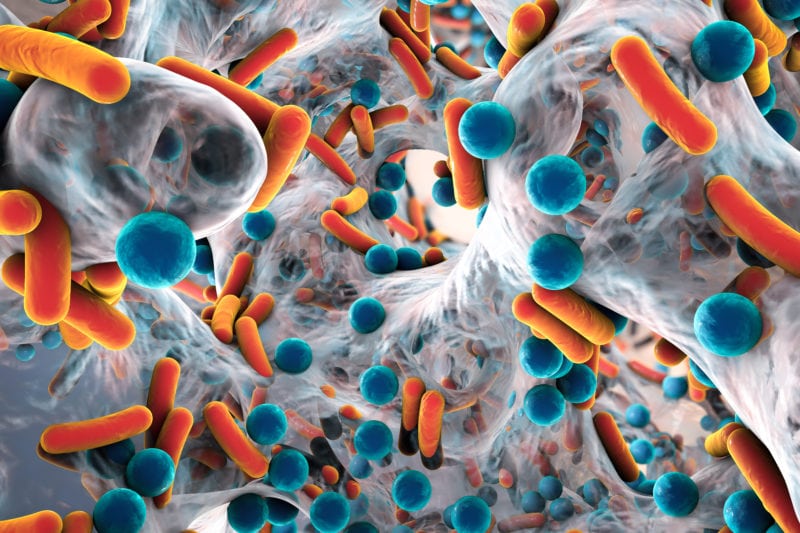 Phagentherapie gilt als Hoffnung für Patienten mit Infektionen, bei denen Antibiotika nicht wirken. Jetzt gibt es erstmals eine Leitlinie für Ärztinnen und Ärzte. Für wen eignet sich die Behandlung?