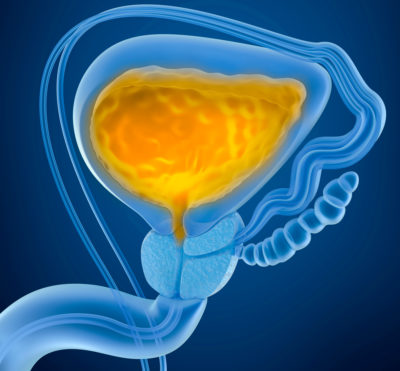 Die Deutsche Gesellschaft für Urologie bewies auf ihrem Jahreskongress von 26. bis 29. September in Dresden erneut, dass die Urologie eine hoch spezialisierte und innovative Disziplin ist. Wir haben für Sie jene Themen ausgewählt, die für die hausärztliche Versorgung von Frauen und Männern mit urogenitalen Erkrankungen von besonderer Bedeutung sind.