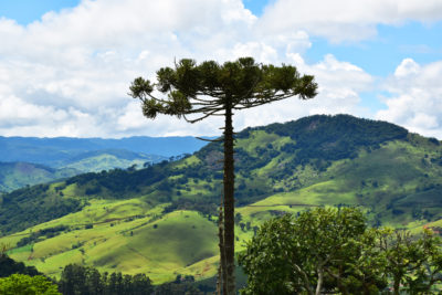 Wo sich stressgeplagte Wochenendgäste, Bergsportler und Yoga-Anhänger auf der Suche nach ganzheitlicher Gesundheit treffen: Eine Entdeckungsreise rund um den "Truhenfelsen" Pedra do Baú.