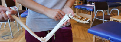 Gleich ob Tennisarm oder Golfer- oder Mausarm: mit den richtigen Handgriffen können alle effektiv behandelt werden. Dr. Mirjam Schrön, Fachärztin für Chirotherapie und Notfallmedizin, zeigt im Video von „Der Hausarzt" die Anwendung von „Korkenzieher" und „Prinz Eisenherz"