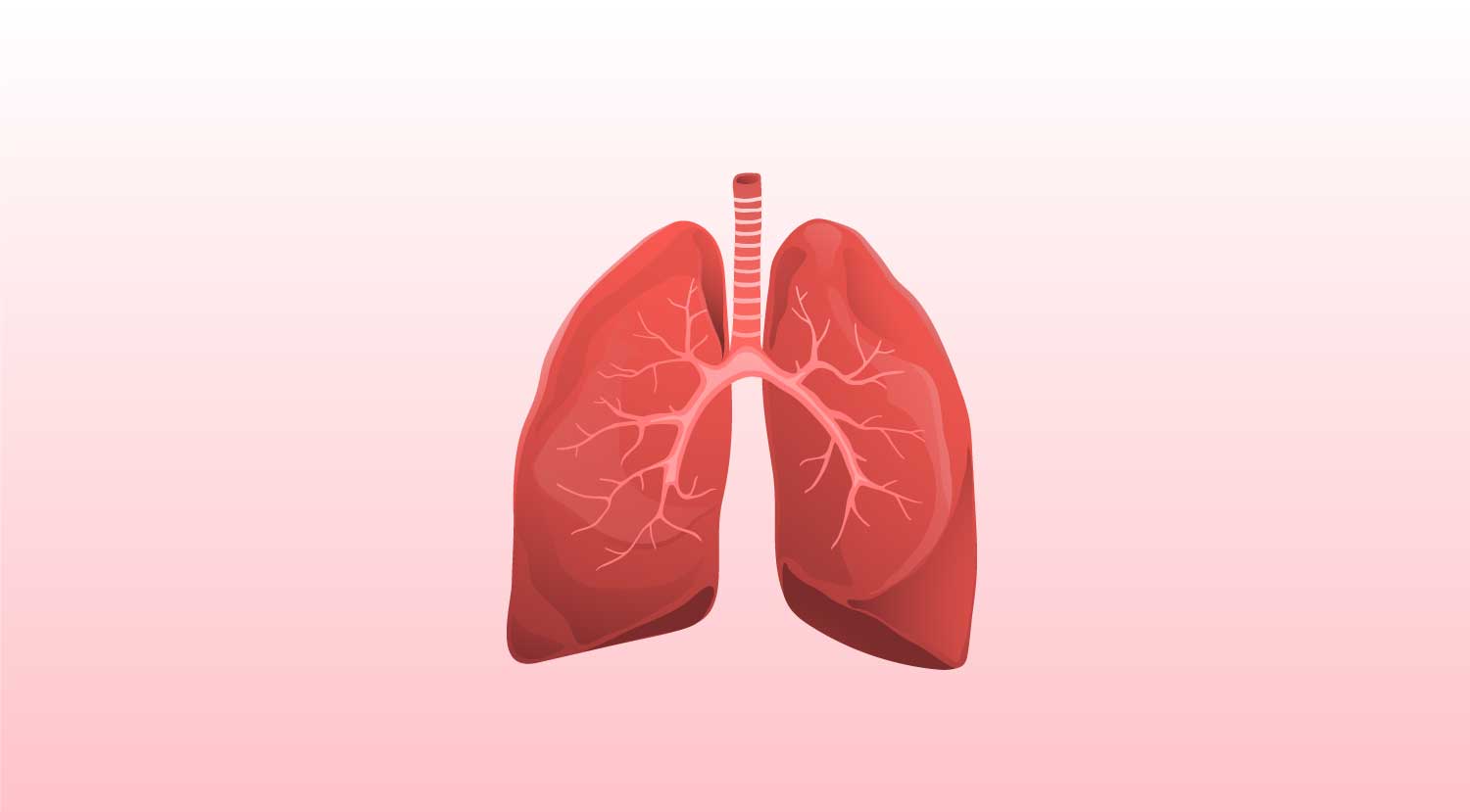 COPD und Asthma sind chronische Atemwegserkrankungen, die in Deutschland weit verbreitet sind. Trotz ähnlicher Symptome handelt es sich jedoch um zwei eigenständige Krankheitsbilder, die eine unterschiedliche Behandlung fordern. Im Rahmen der Disease Management Programme erhalten Betroffene individuelle Therapiekonzepte.