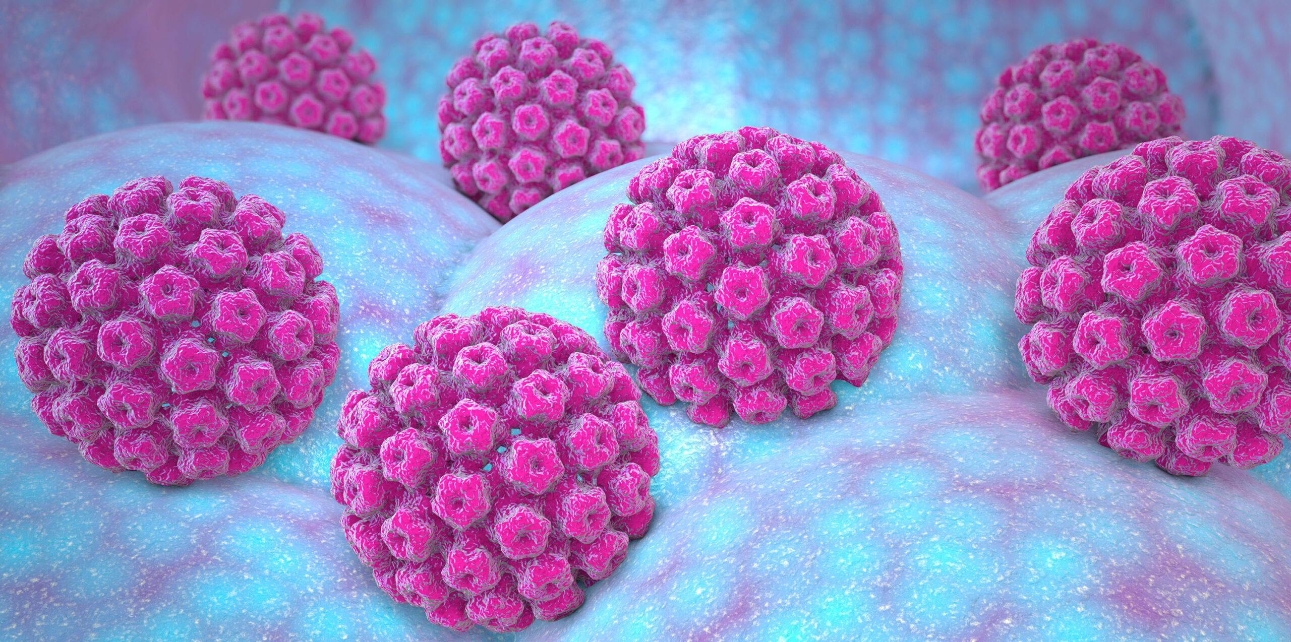 HPV-Virus