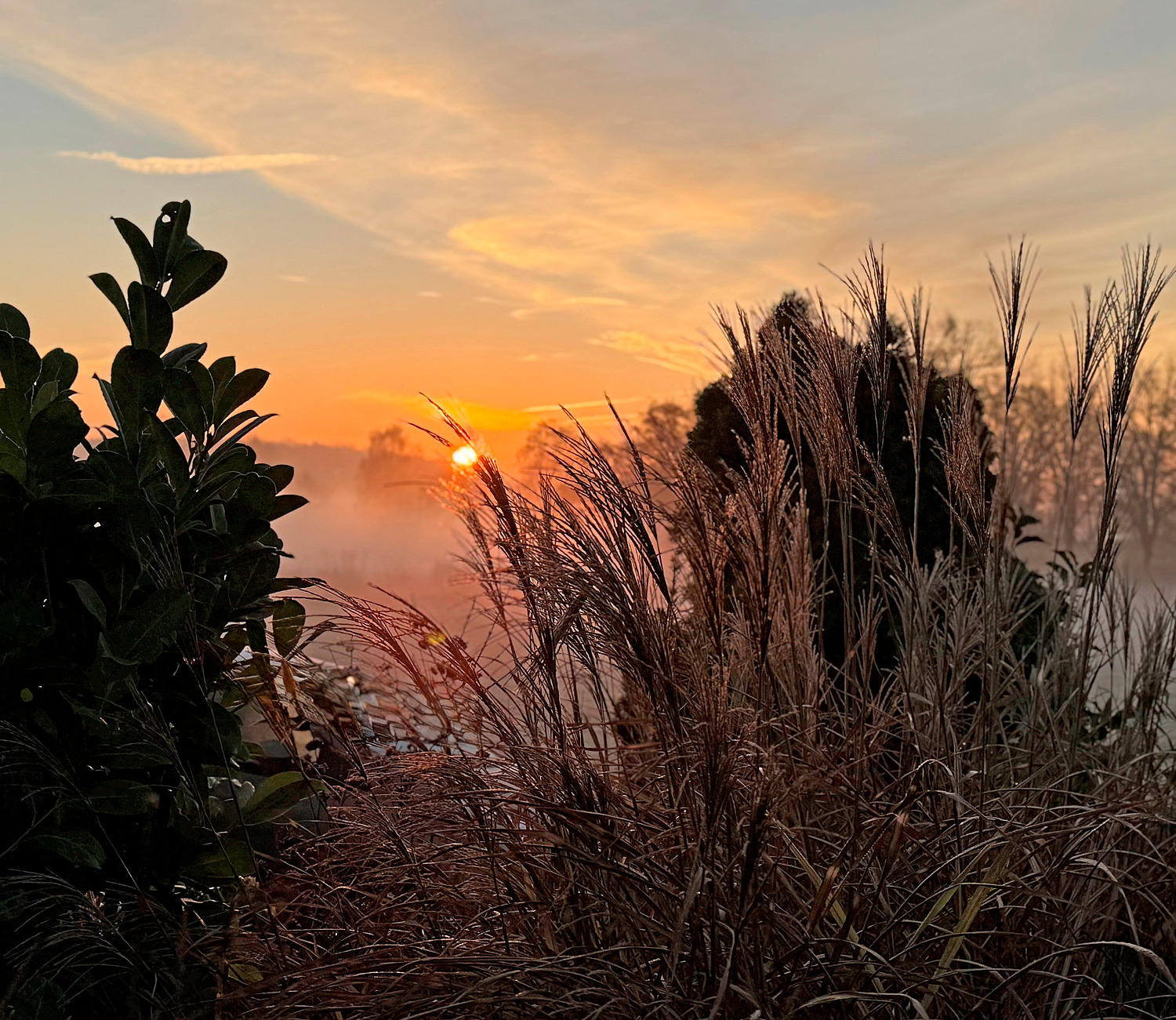 Sie haben ein oder mehrere Lieblingsfotos? In jedem Heft stellen wir Ihre Bilder vor. Am Jahresende warten auf die drei Favoriten attraktive Preise.